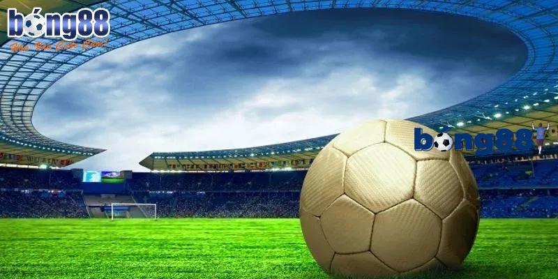 Sự kiện thể thao trong nước vô cùng hấp dẫn