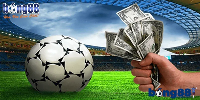 Theo dõi lịch sử đối đầu để phân tích kết quả đúng hướng